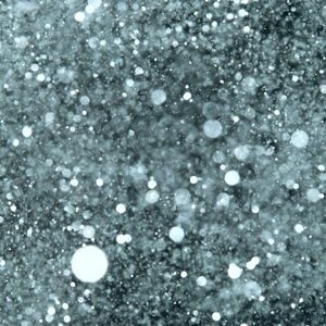 Meet your Posher, Lucy